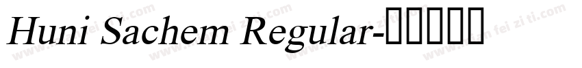 Huni Sachem Regular字体转换